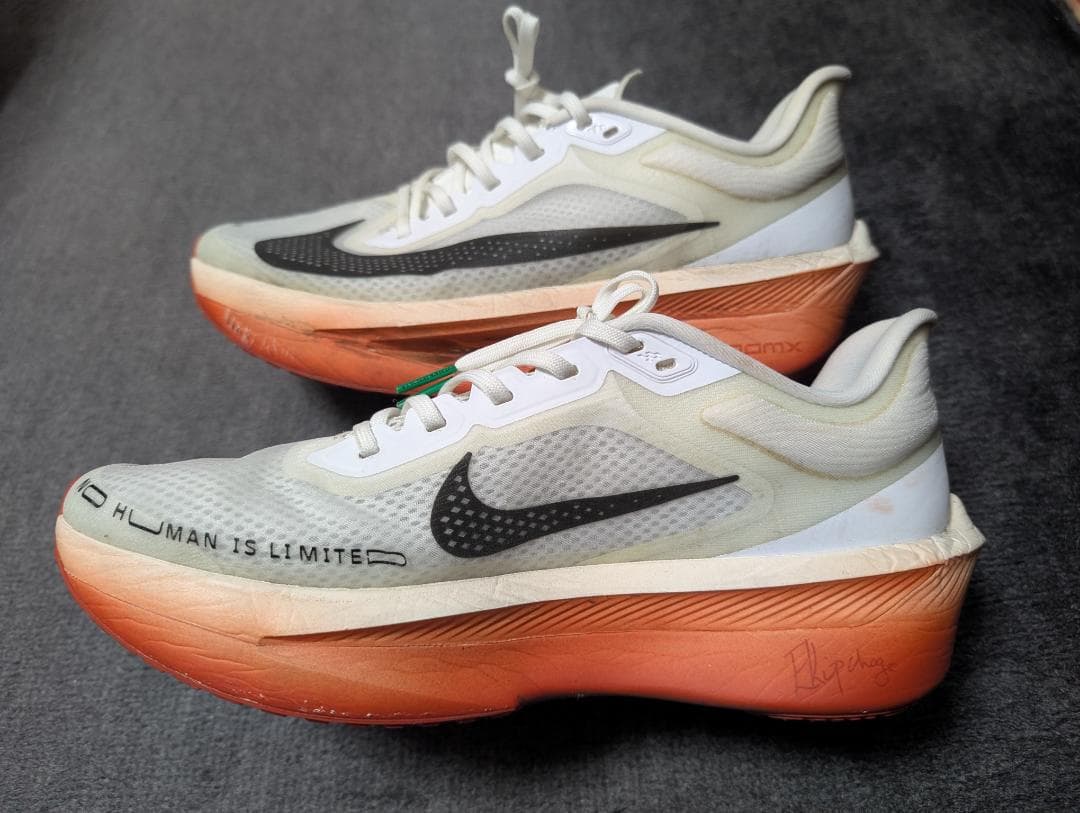 NIKE ズームフライ6 27.0cm Zoom Fly 6 EK