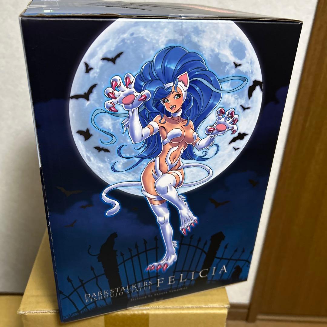 ヴァンパイア美少女　フェリシア