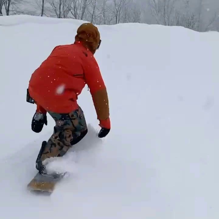 THE NORTH FACE スノーボードウェア　セット　Lサイズ