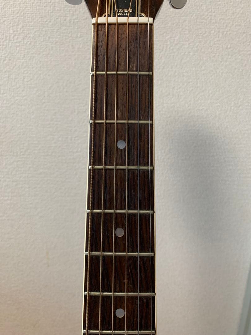 Morris モーリス F20 1972年製