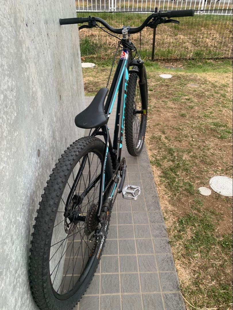 Bianchi magma 9.1 29インチ