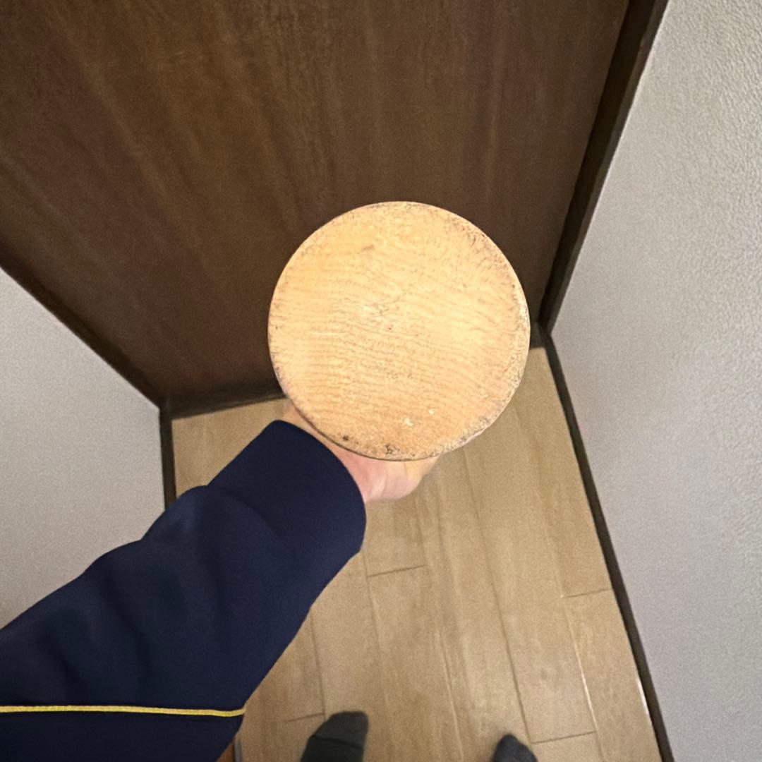 Pro Limited MAPLE YUM-555 硬式バット