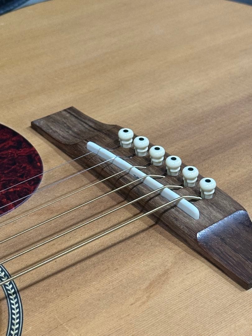 Martin&Co DM Mahogany Dreadnought USAモデル