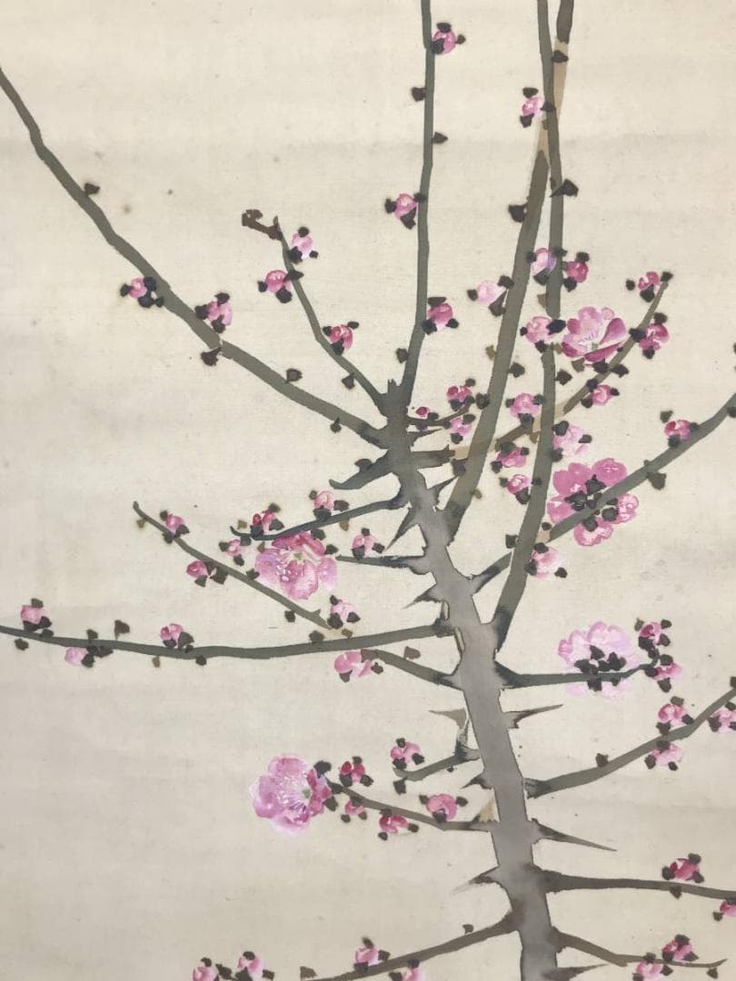 作者不詳/紅梅雀図/掛軸/名家伝来/AC-54