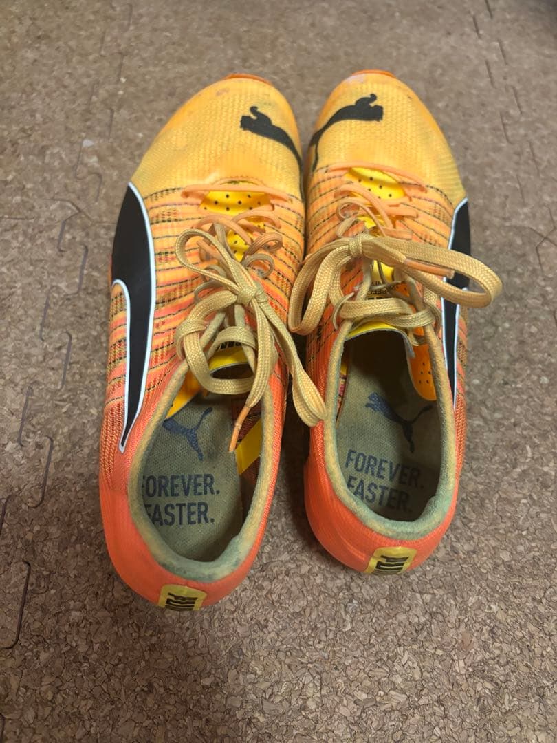 PUMAEVOSPEEDTOKYO nitro エヴォスピード ニトロ 25cm