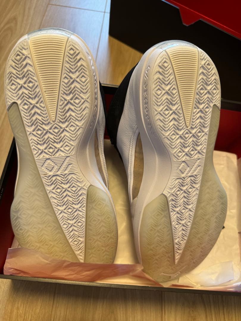 エアジョーダン40 PF 'ザ クラシック'29cm