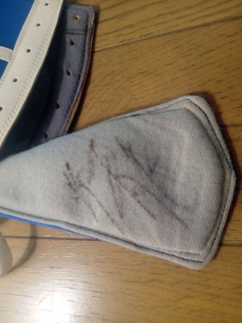 即決！獅龍 プロレスマスク 青 サイン入り