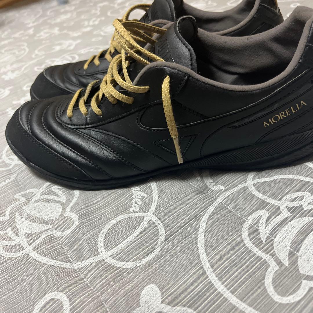 n*f様 モレリア SALA PRO TF