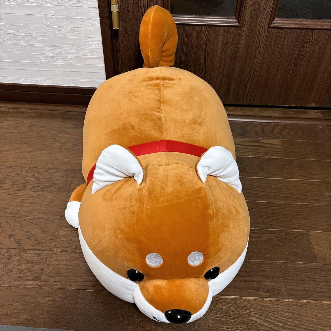 【期間限定価格】ハッピーまめしば 特賞