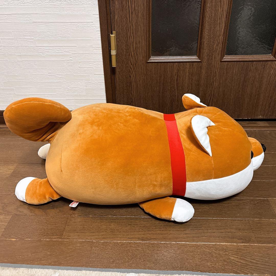 【期間限定価格】ハッピーまめしば 特賞
