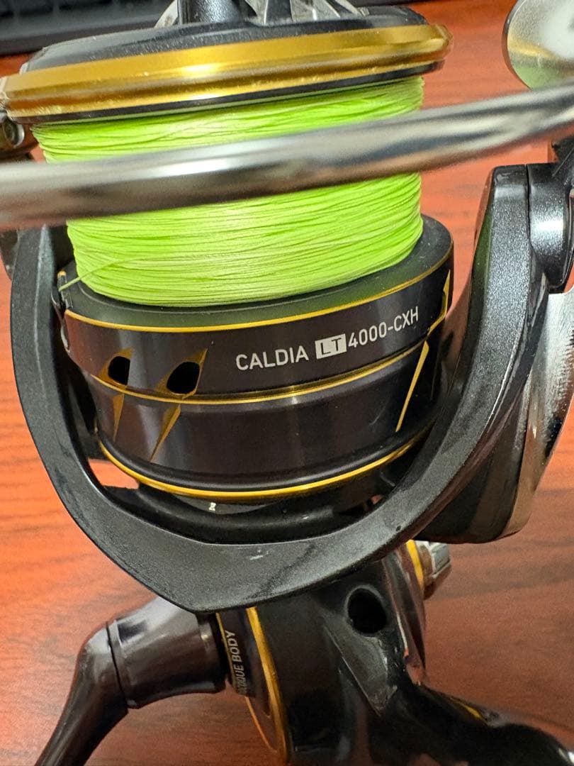 Daiwa 21カルディア LT4000-CXH