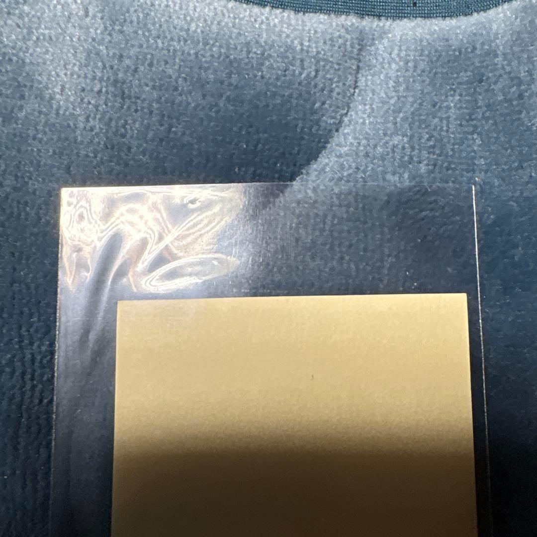 ポケモンキッズ　バトルシール