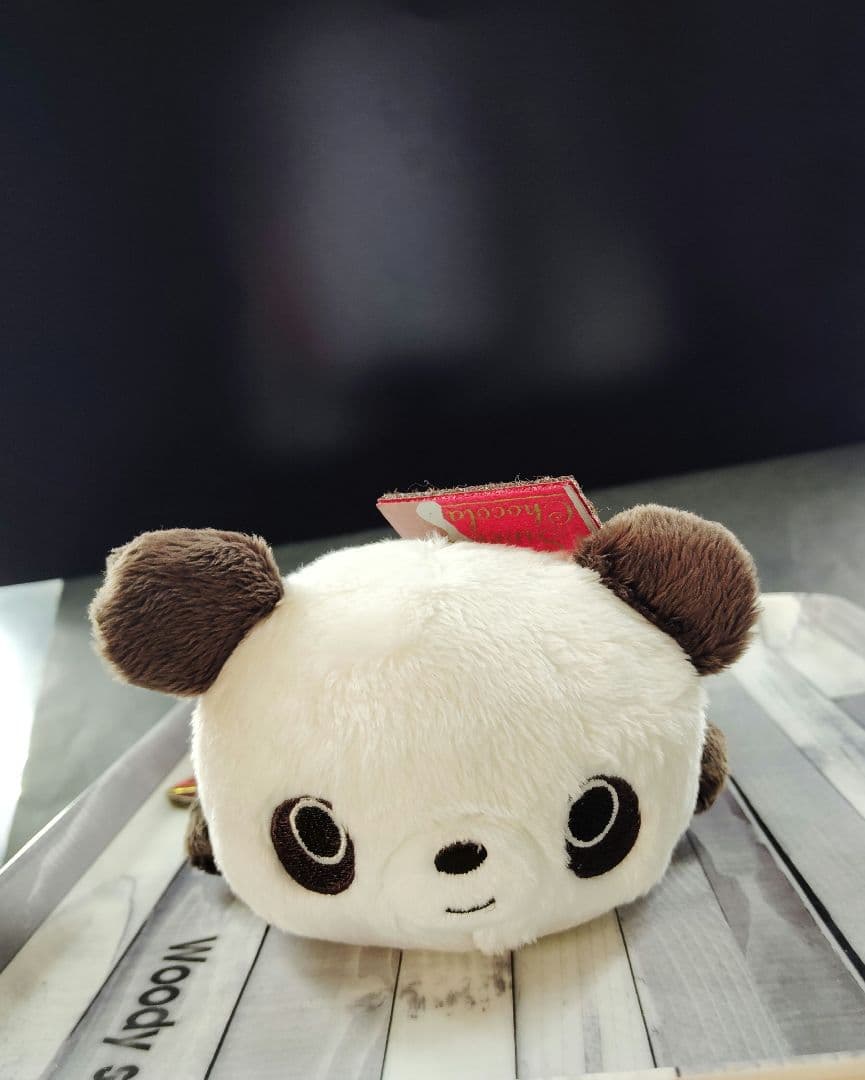 激レア　チョコパ　ぬいぐるみ　ペンポーチ　ペンケース　サンエックス　2012年製
