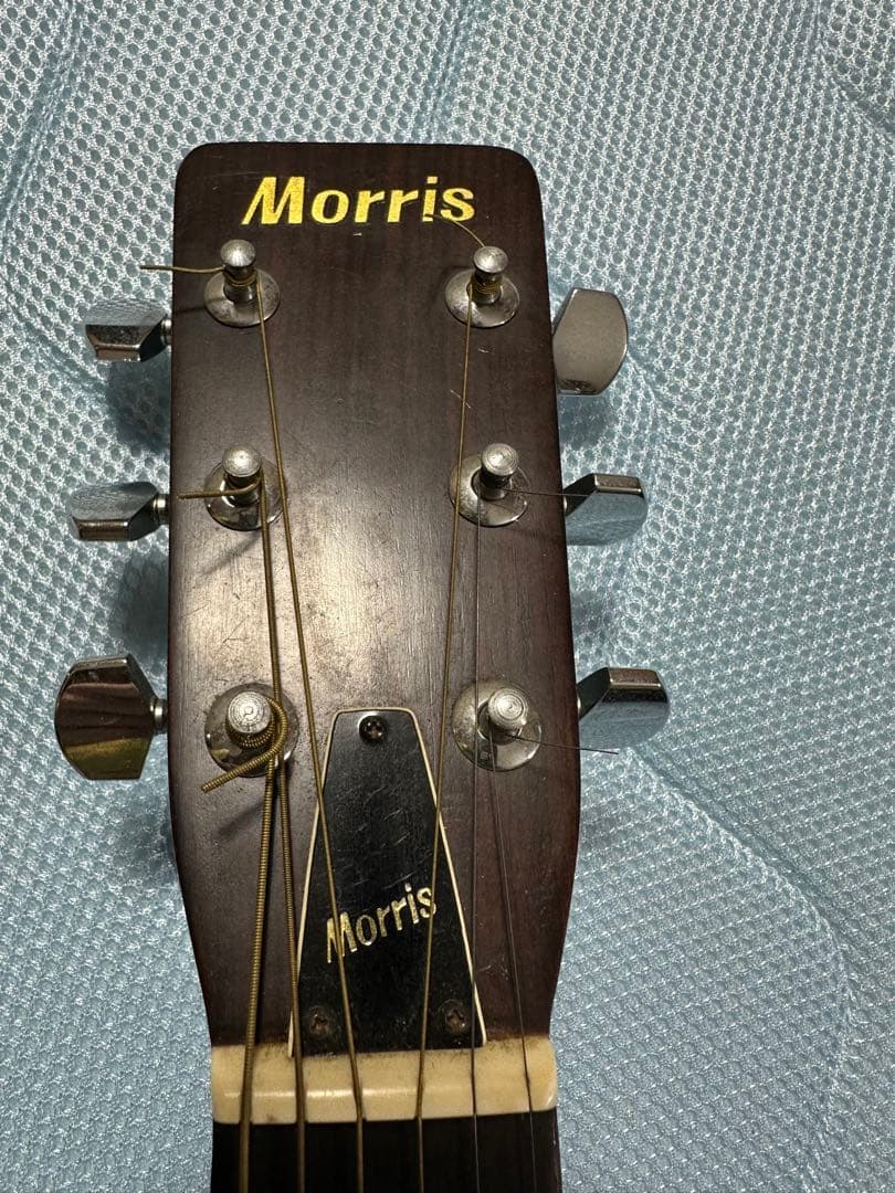 Morris W-20 アコースティックギター ケース付き