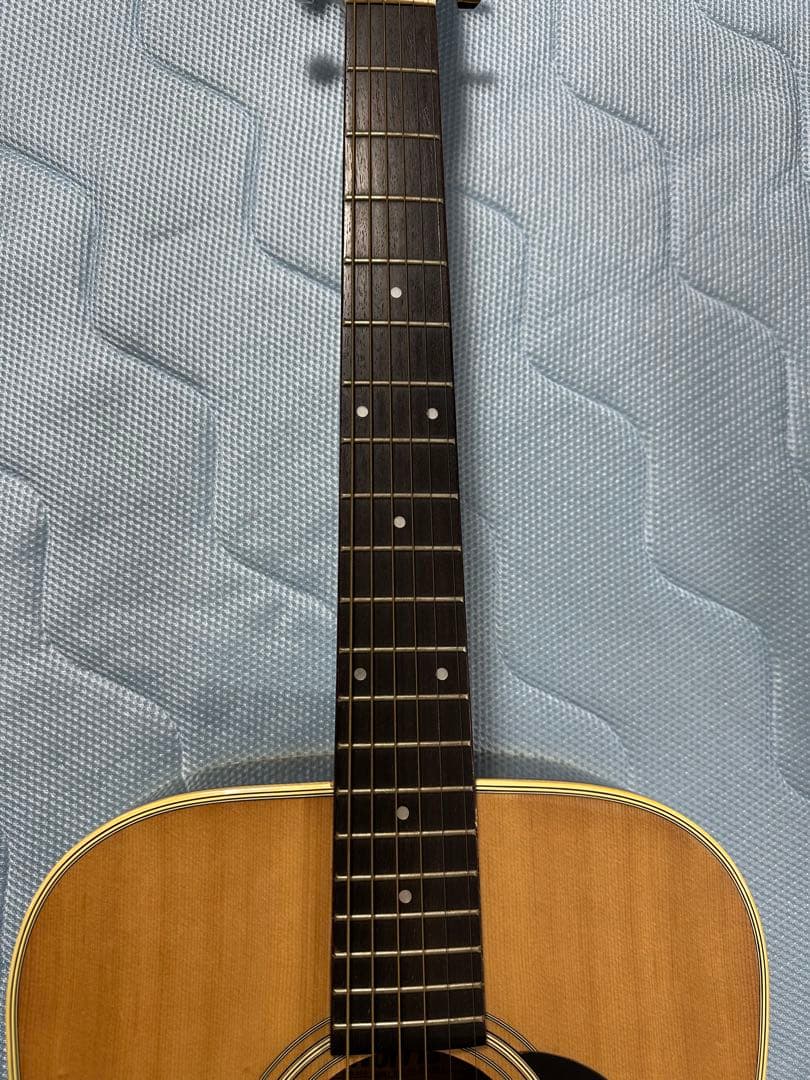 Morris W-20 アコースティックギター ケース付き