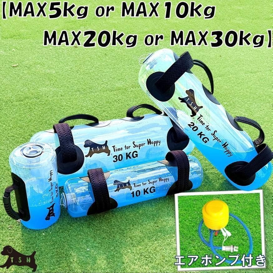 【たーちゃん様３点】　１０ｋｇ　ウォータートレーニングバッグ　専用フットポンプ付