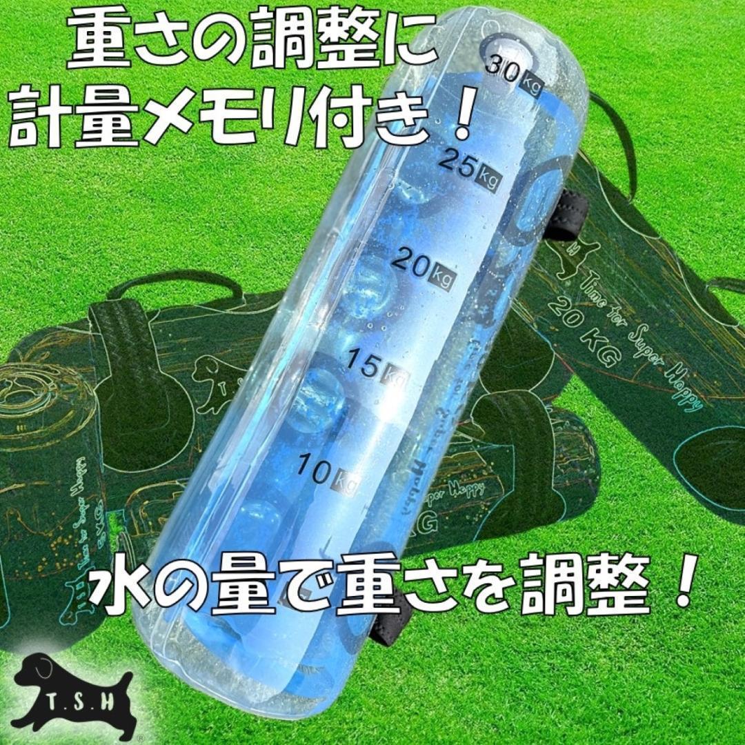 【たーちゃん様３点】　１０ｋｇ　ウォータートレーニングバッグ　専用フットポンプ付