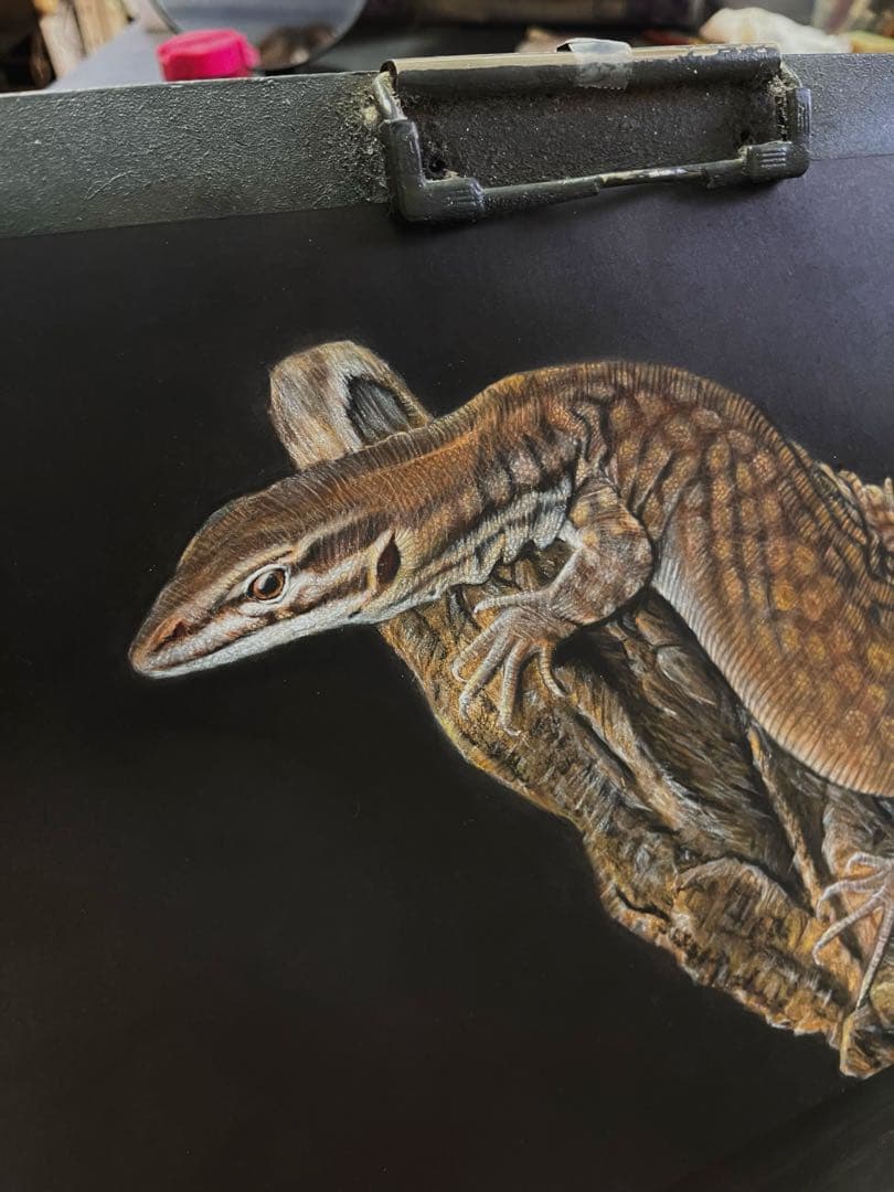 リッジテールモニター（トゲオオオトカゲ）　色鉛筆画