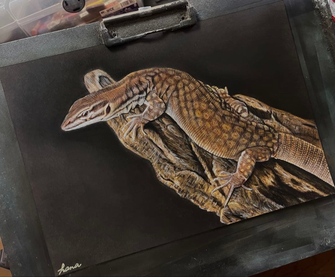 リッジテールモニター（トゲオオオトカゲ）　色鉛筆画