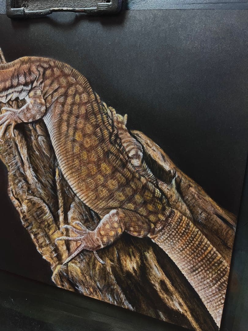 リッジテールモニター（トゲオオオトカゲ）　色鉛筆画