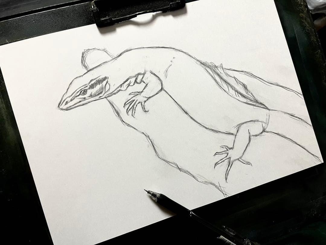 リッジテールモニター（トゲオオオトカゲ）　色鉛筆画