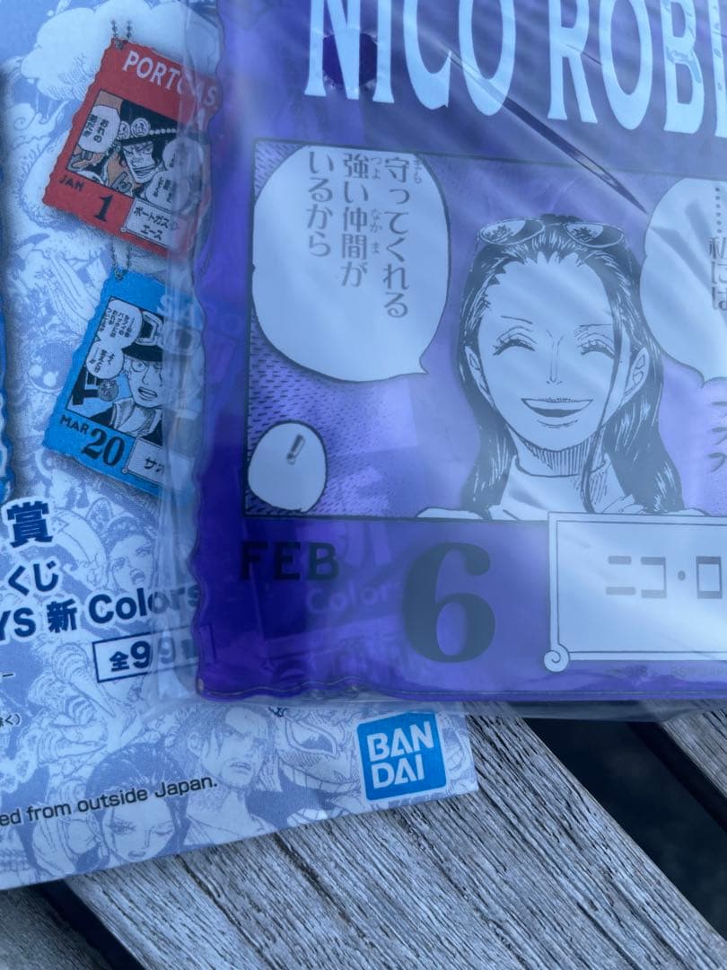 アクリルブロックチャーム　ニコロビン