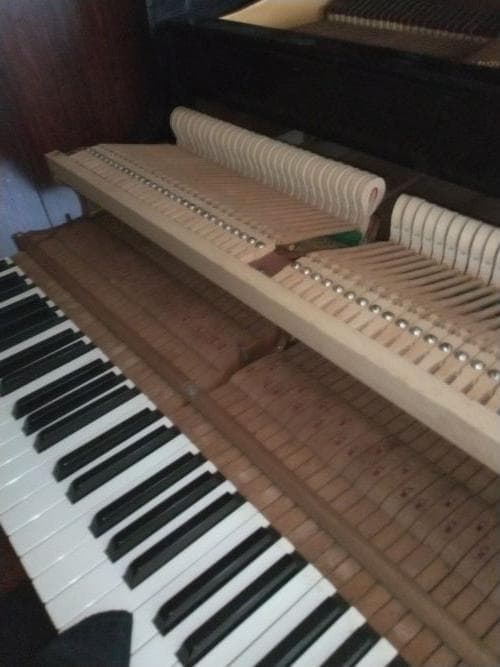 YAMAHA G2 グランドピアノ｜調律履歴 2年毎｜茨城県土浦市｜配送手配可