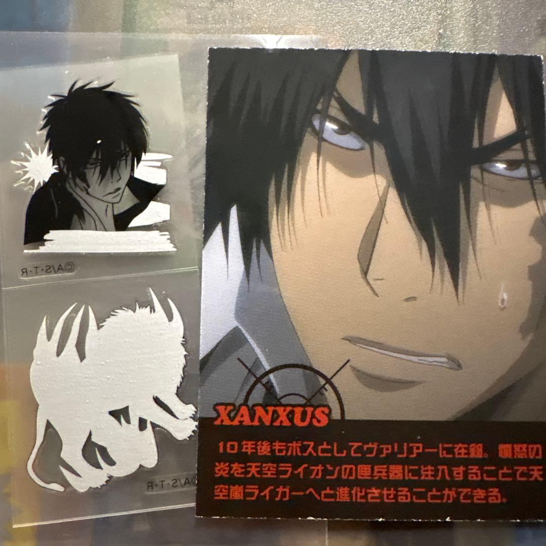 家庭教師ヒットマンREBORN!　リアルペイントシート2 XANXAUS