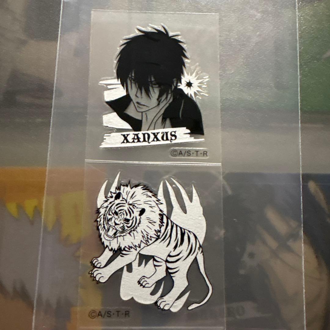 家庭教師ヒットマンREBORN!　リアルペイントシート2 XANXAUS
