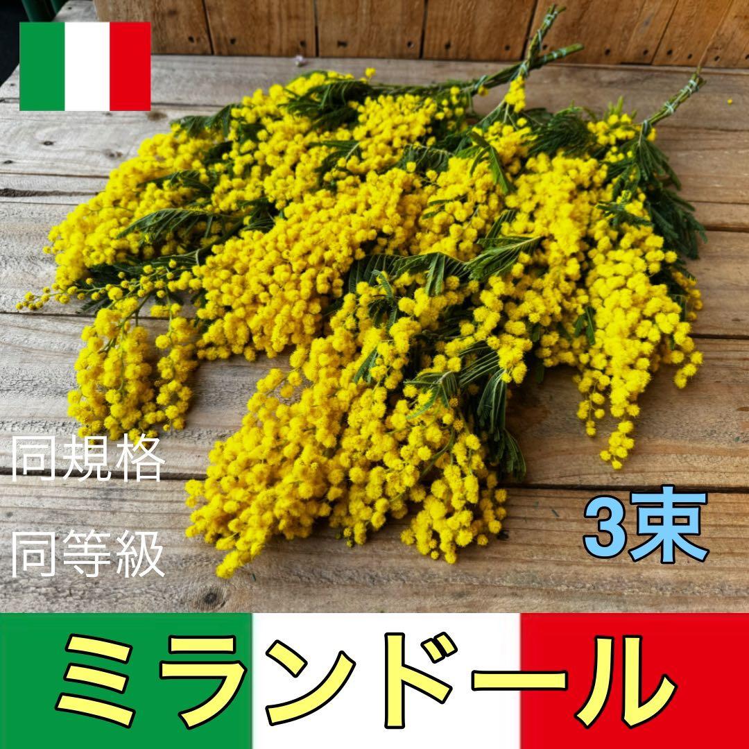 Decor様 リクエスト 2点 まとめ商品