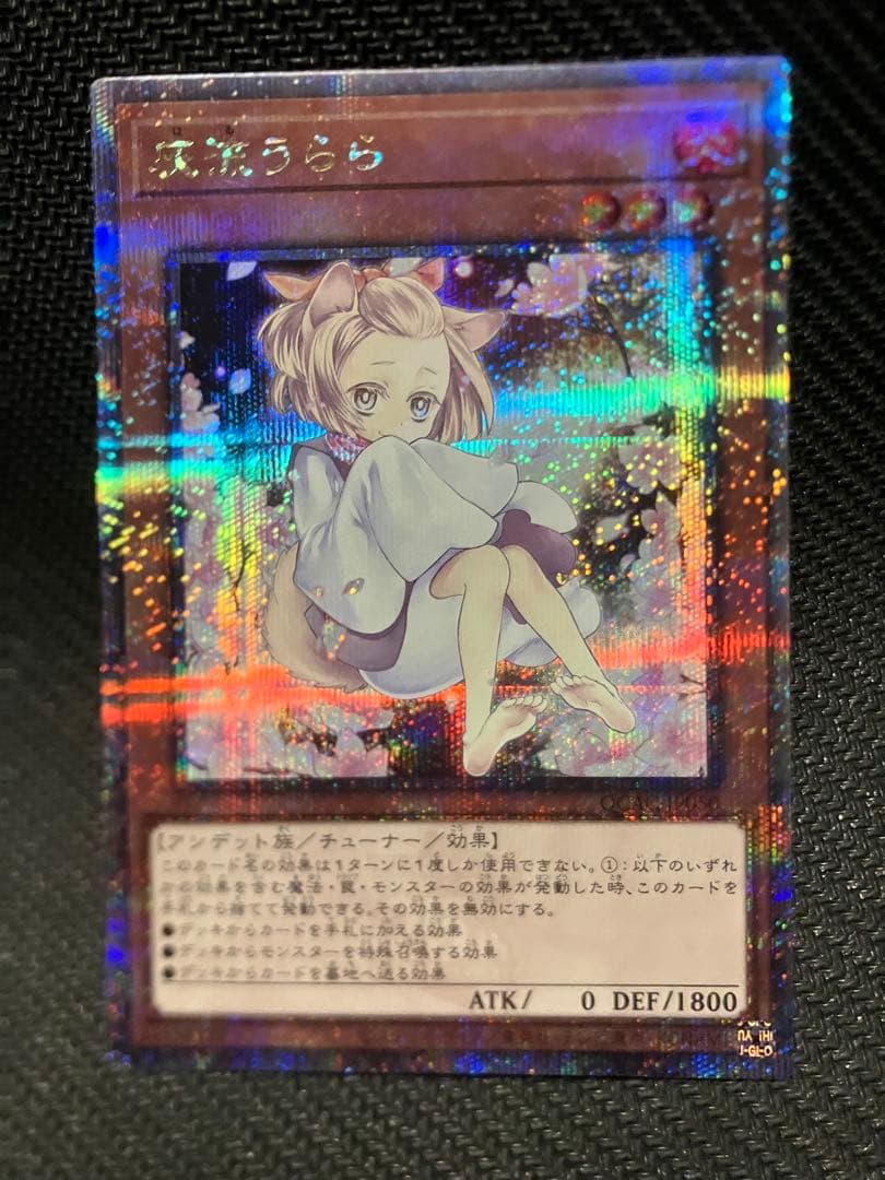 遊戯王 灰流うらら 屋敷わらし ドロール&ロックバード 25th クオシク