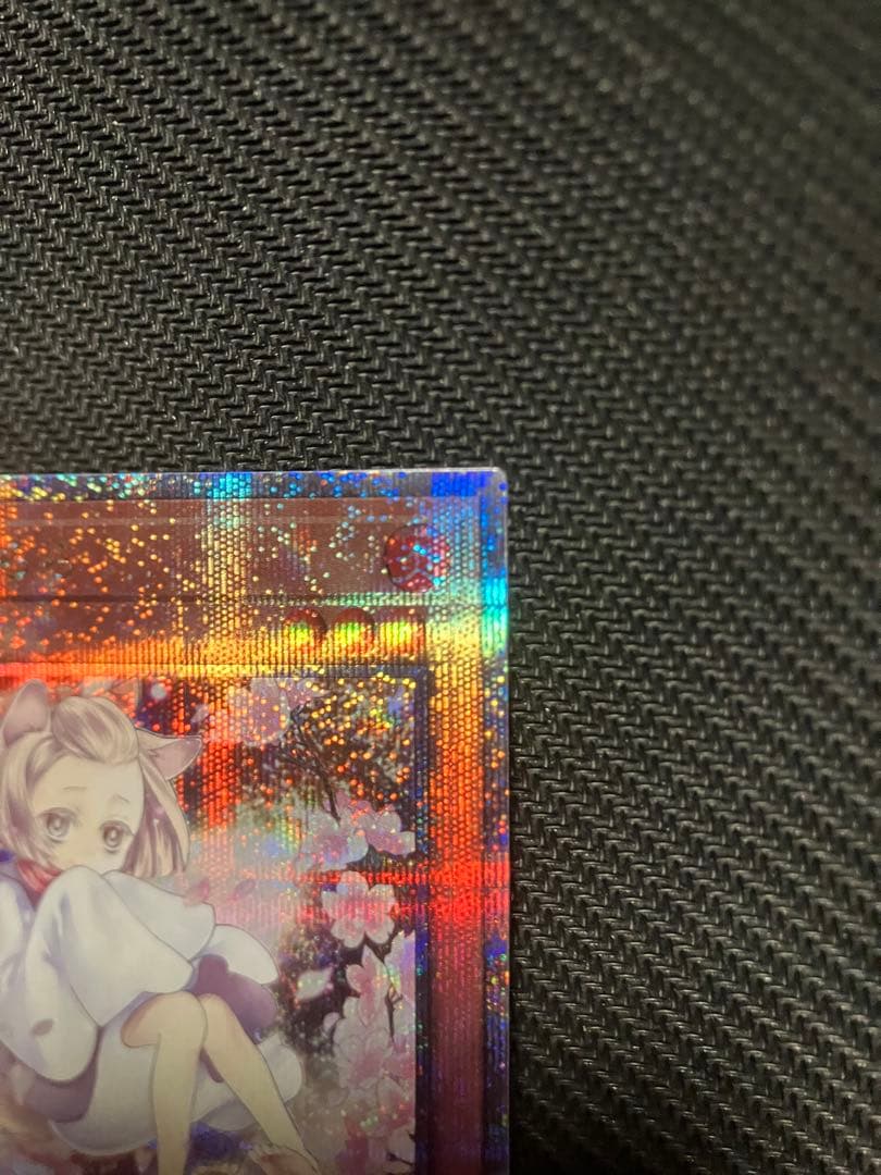 遊戯王 灰流うらら 屋敷わらし ドロール&ロックバード 25th クオシク
