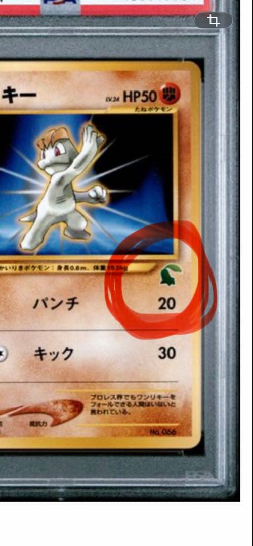 PSA10 旧裏　ワンリキー　イントロパックneo POP6(世界に6枚)