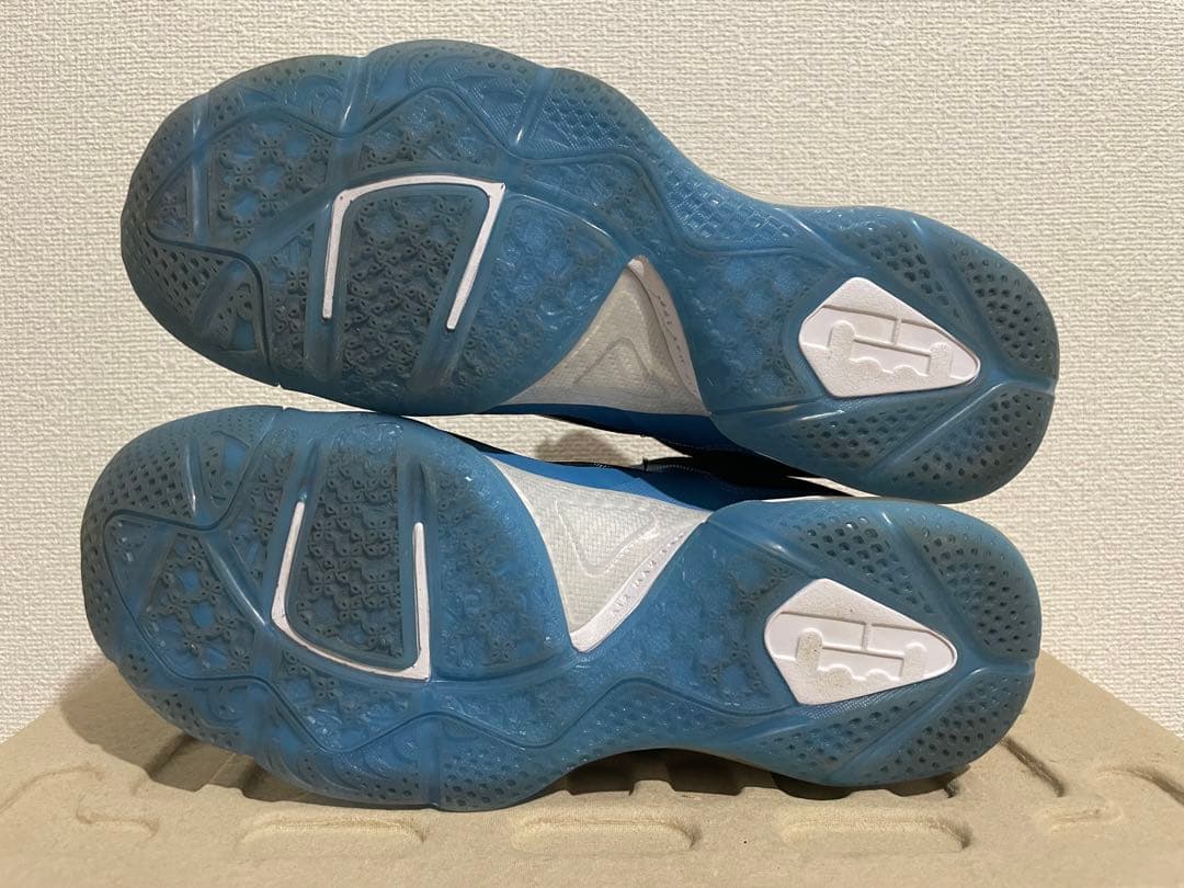 シューズ(男性用) NIKE LEBRON 9 \"South Coast\"