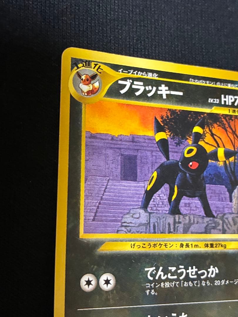 旧裏　ブラッキープレミアムファイル2 PROMO ポケモンカード