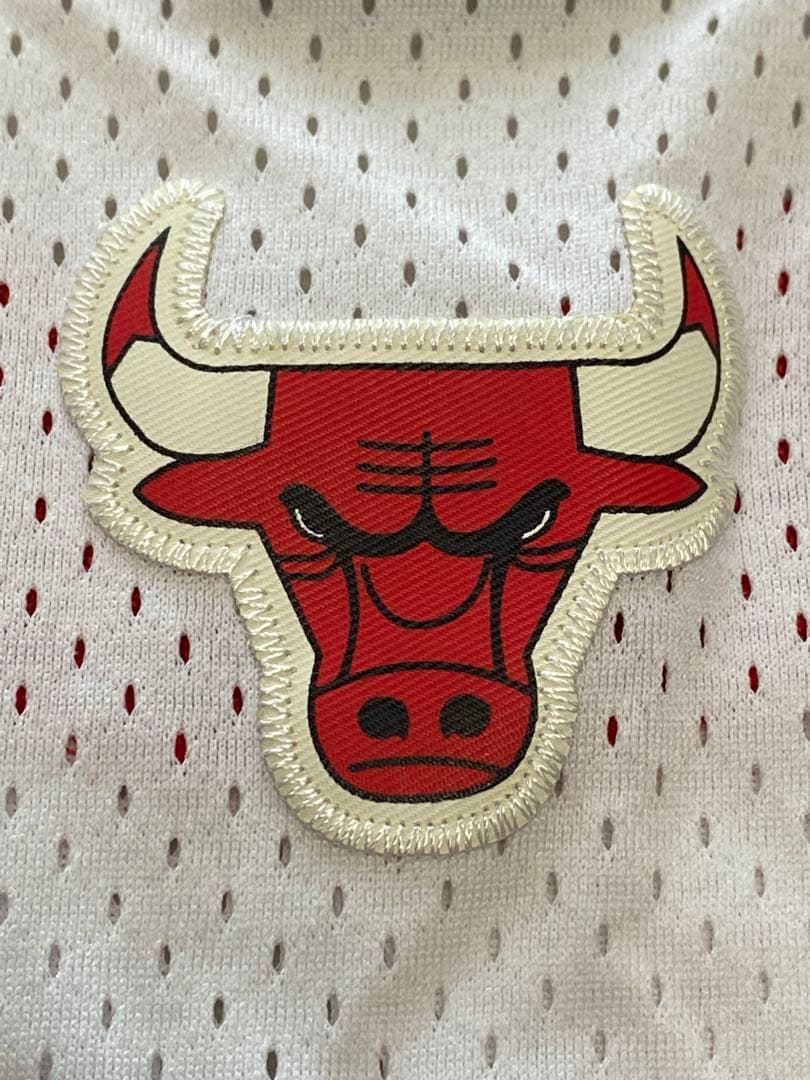 NIKE・ナイキ M.ジョーダン CHICAGO BULLS 23 Lサイズ