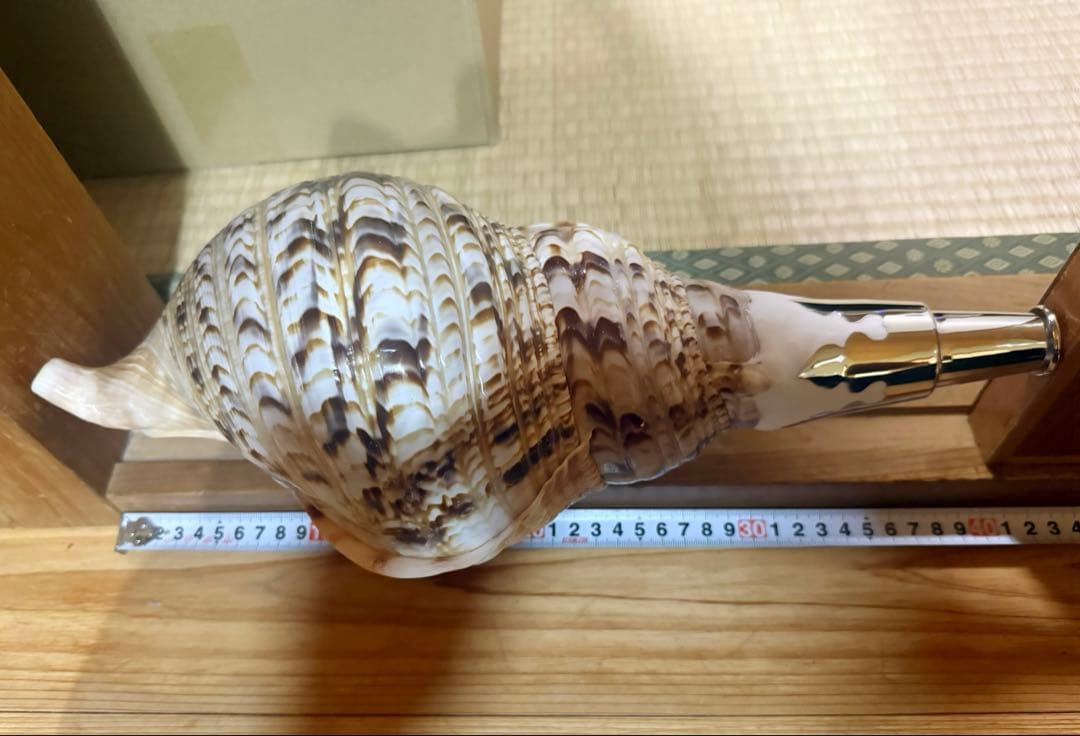 期間限定価格‼️特大修験道法螺貝40㎝　山伏　密教　魔除け　❣️ホラガイ　ほら貝