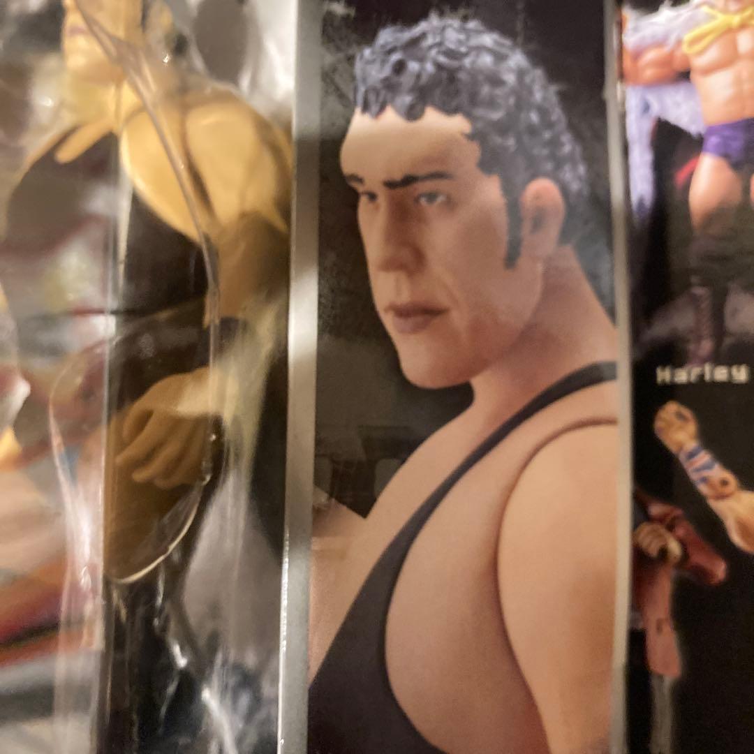 アンドレ・ザ・ジャイアント　WWEクラシックスーパースター