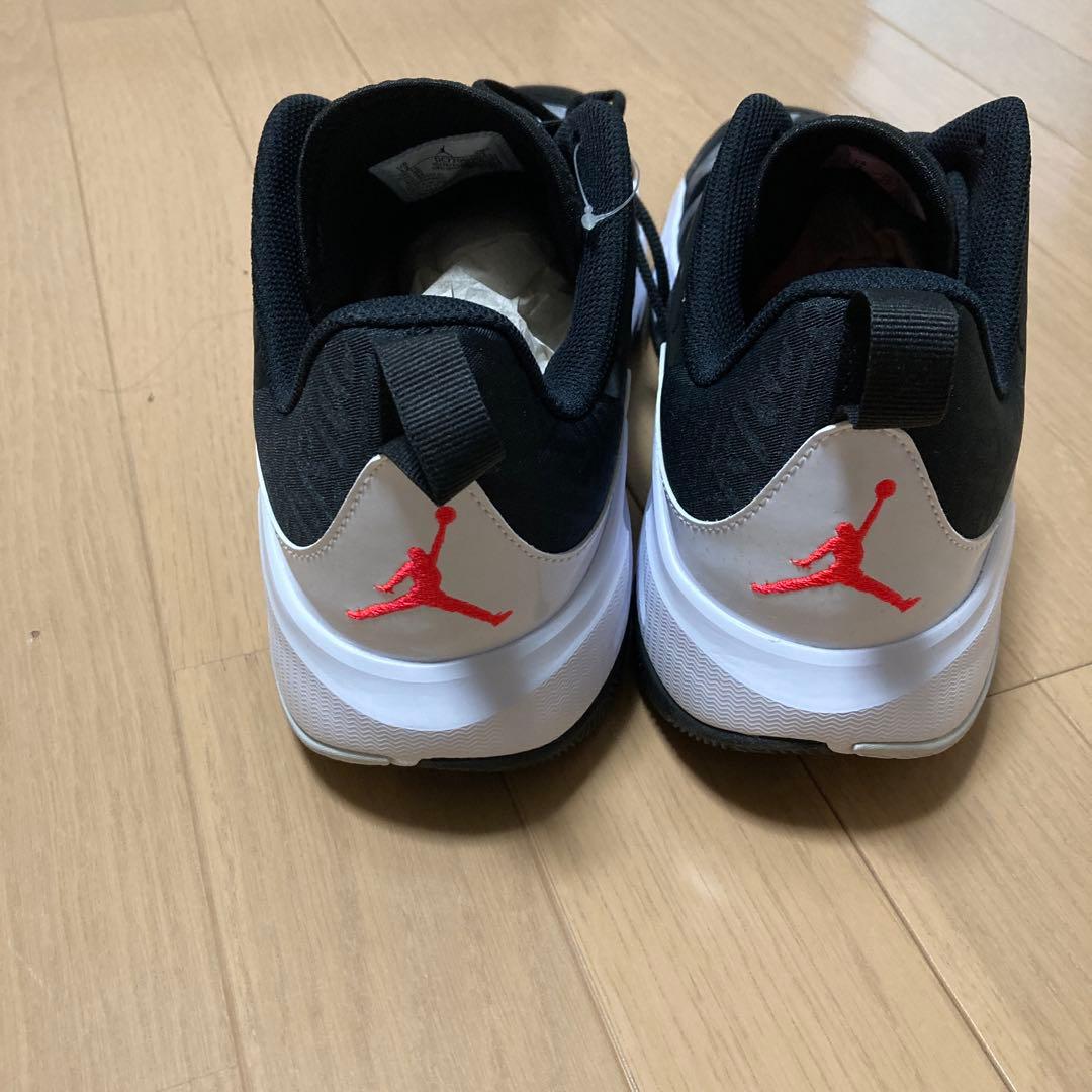 【交渉用価格】JORDAN ONE TAKE PF3 ビックサイズ 30cm
