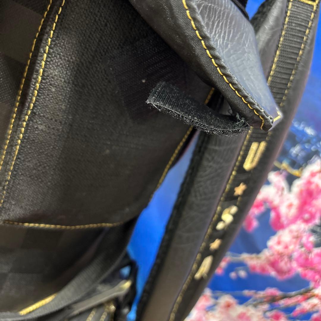 寶BW-1174 BELDING USA PRO キャディバッグ ベルディング