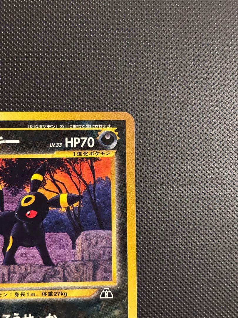 旧裏　極美品　ブラッキー　プレミアムファイル2 ★neo 遺跡をこえて