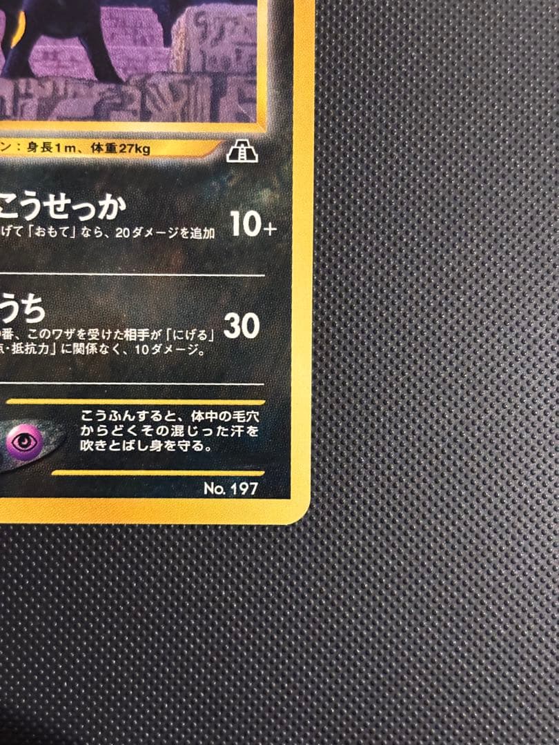 旧裏　極美品　ブラッキー　プレミアムファイル2 ★neo 遺跡をこえて