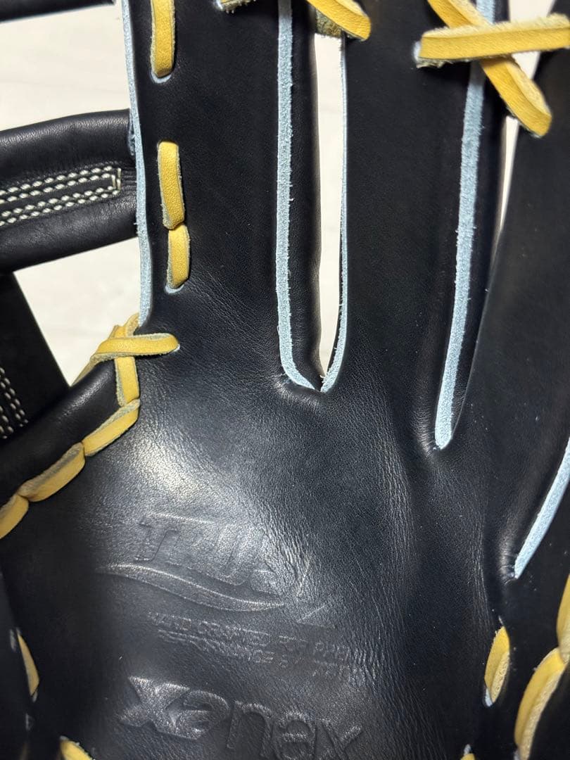 ザナックス　トラストエックス　BHG25IM2X 硬式　内野手　28.5cm