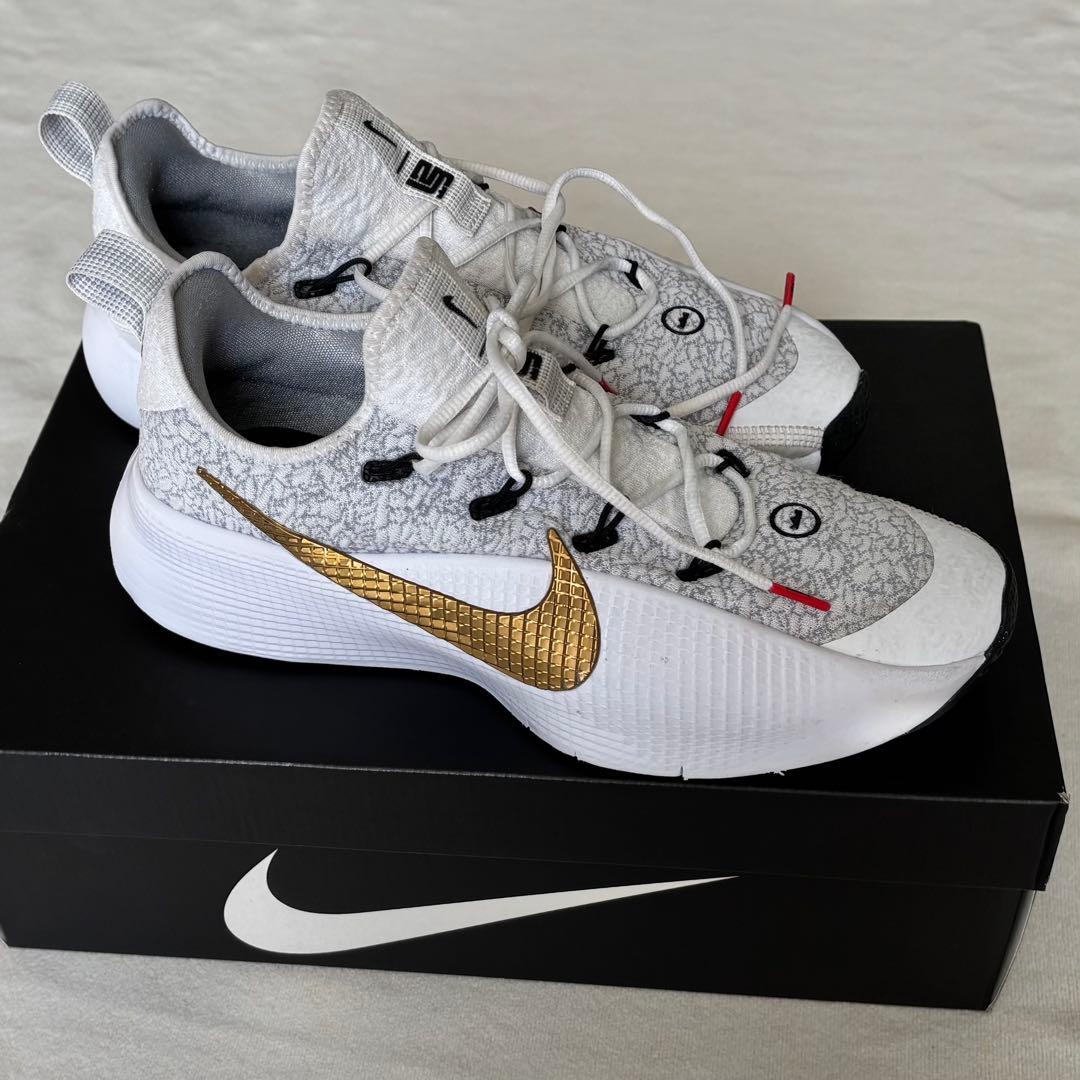【値下げ】Nike ナイキ レブロン TR1 バスケ 27cm ホワイトゴールド