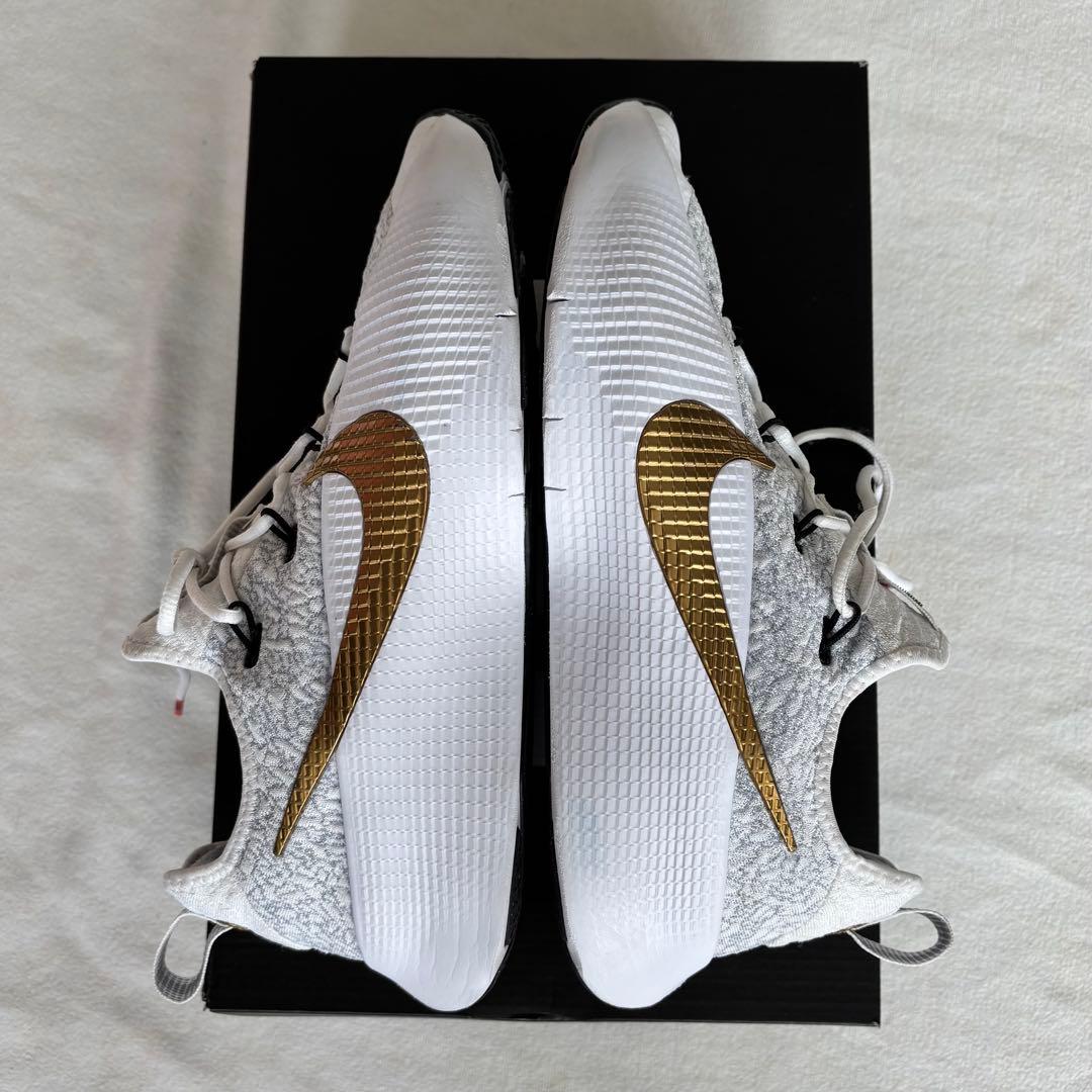 【値下げ】Nike ナイキ レブロン TR1 バスケ 27cm ホワイトゴールド