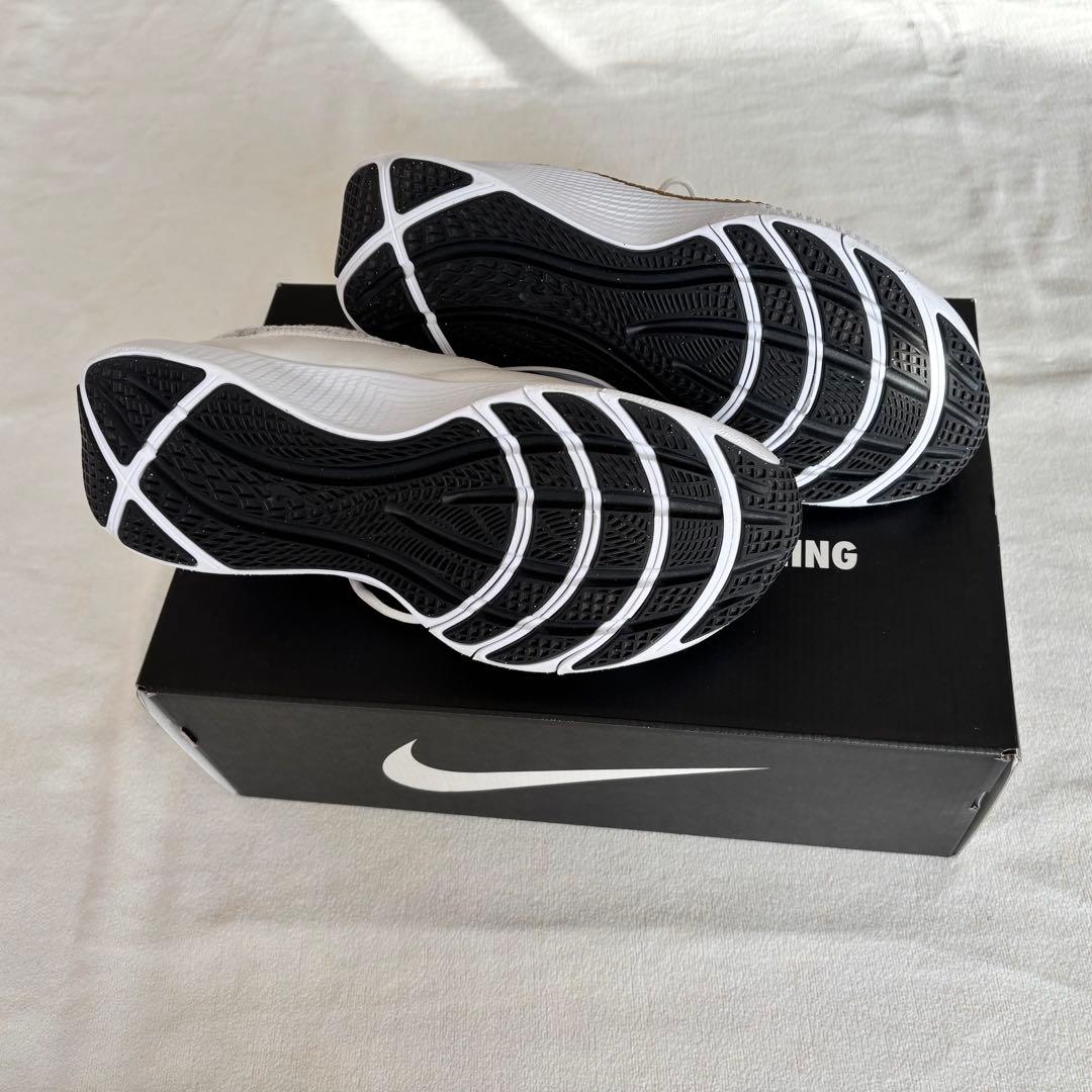 【値下げ】Nike ナイキ レブロン TR1 バスケ 27cm ホワイトゴールド
