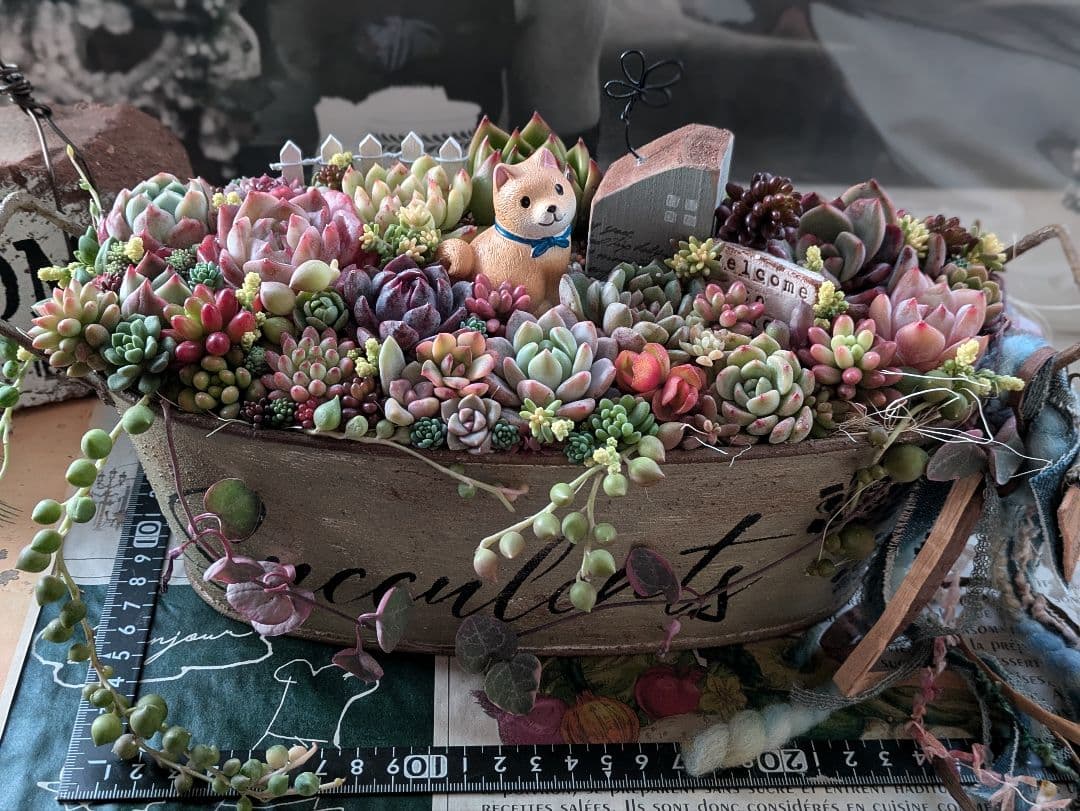 多肉植物 そのまま飾れる 大きな寄せ植え❁⃘*.゜わんちゃんの箱庭風❁⃘*.゜