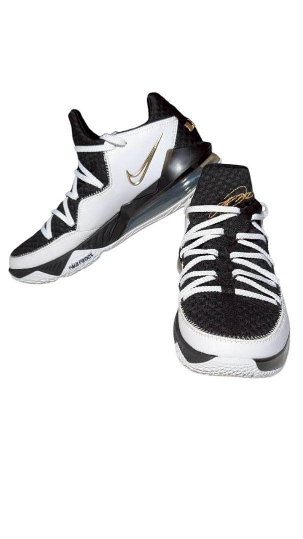 NIKE レブロン17 Low 白金黒 28cm CD5007-101