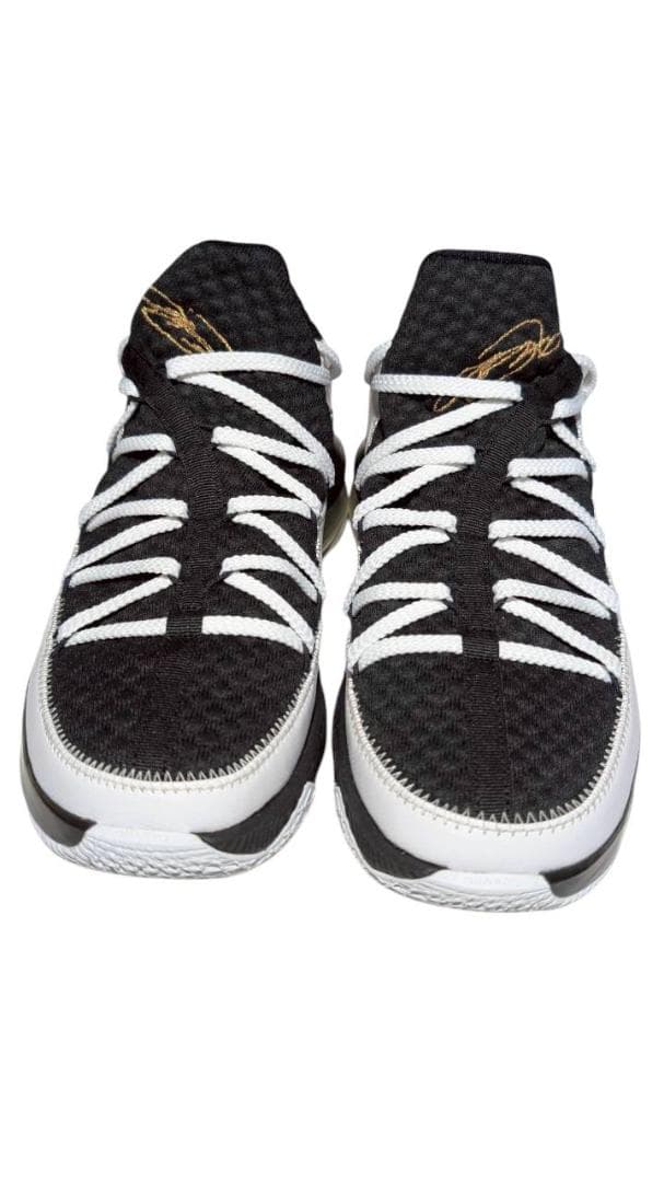 NIKE レブロン17 Low 白金黒 28cm CD5007-101