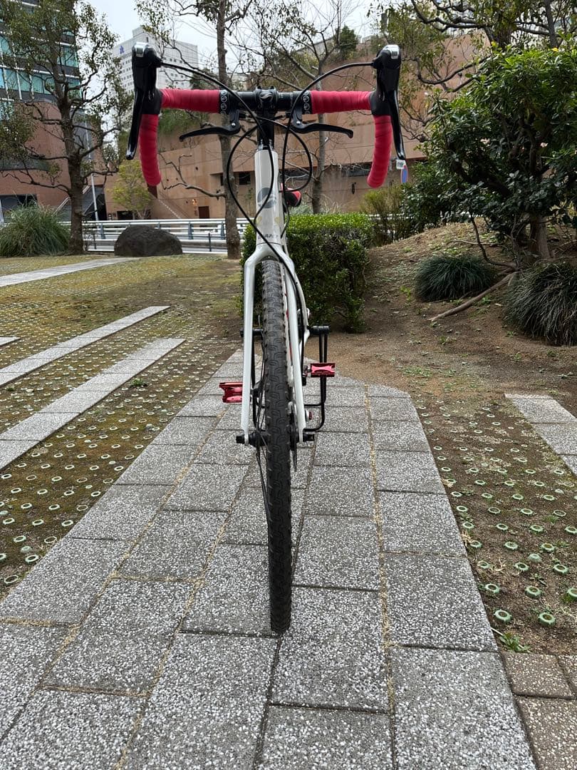 Giant Anyroad 2 2015モデル　シクロクロス　グラベルロード